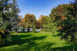 Pagalma perspektīva